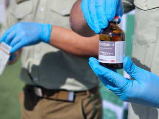 Desarticulan en Calama red de tráfico de ketamina que operaba por Instagram: siete imputados quedan en prisión preventiva