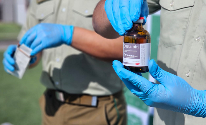 Desarticulan en Calama red de tráfico de ketamina que operaba por Instagram: siete imputados quedan en prisión preventiva