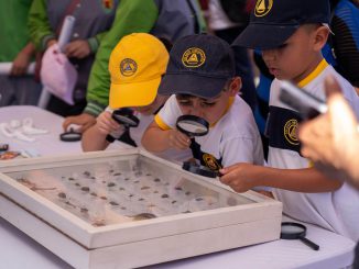 &ldquo;De las neuronas al cosmos&rdquo;: m&aacute;s de 100 actividades gratuitas dar&aacute;n vida al Festival de Ciencia Puerto de Ideas Antofagasta 2026