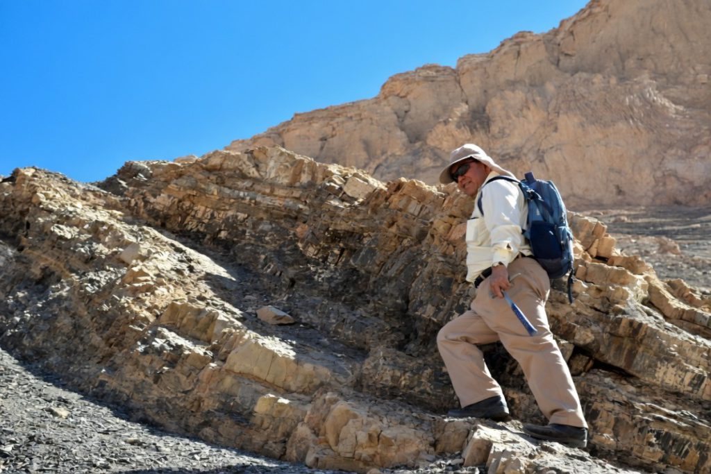 Hallazgo en Antofagasta reescribe la historia: descubren en Calama el primer plesiosaurio jurásico identificado en Chile