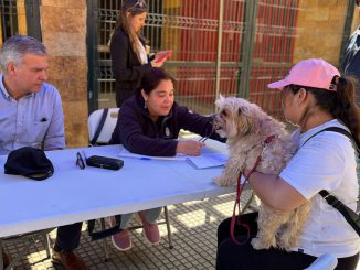 Municipio de Antofagasta llegar&aacute; hasta Juntas de Vecinos para chipeo gratuito de mascotas