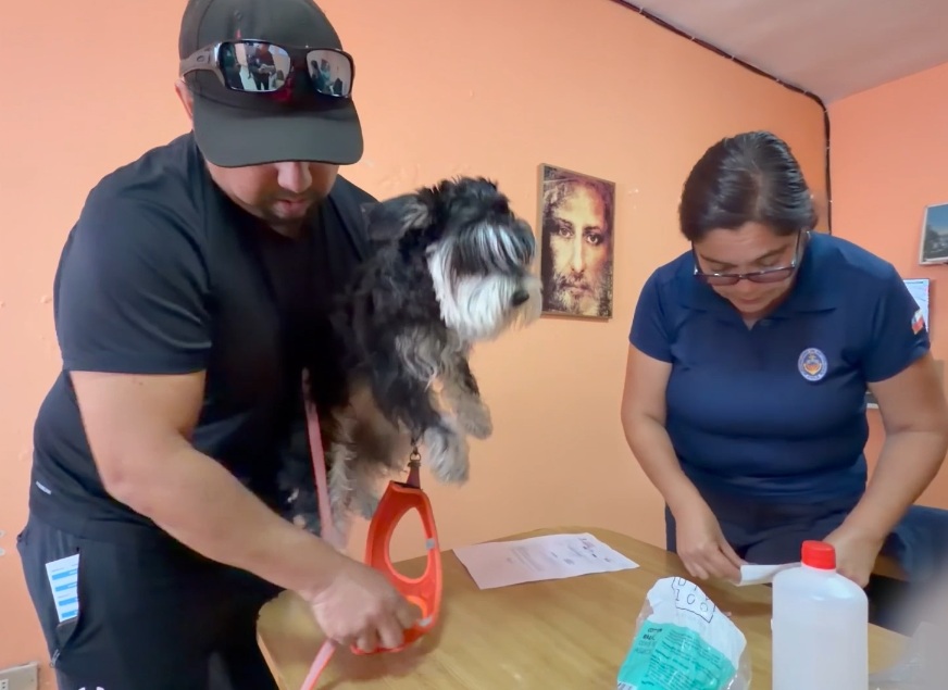 Antofagasta: Nuevos operativos para chipeo gratuito de mascotas llegan esta semana hasta sedes de Pedro Aguirre Cerda y Villa El Salar