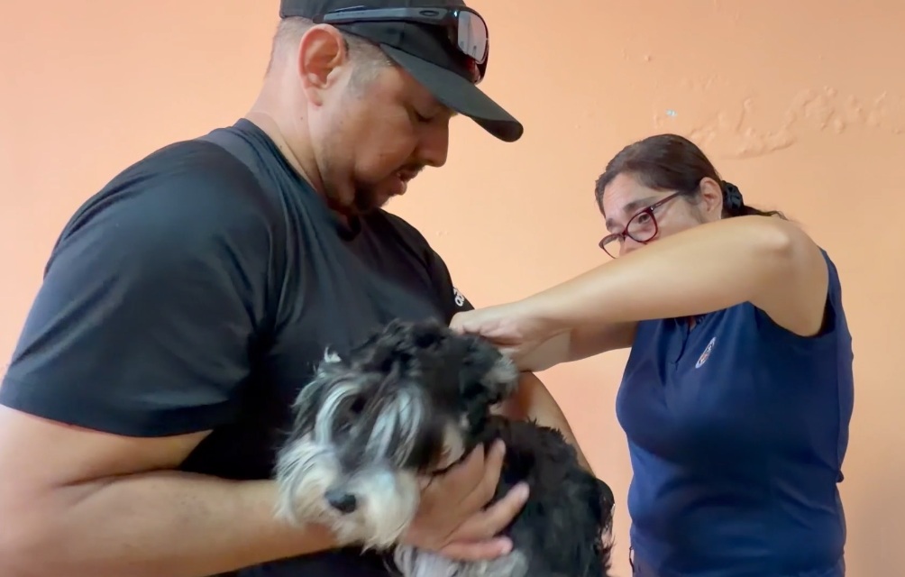 Antofagasta: Nuevos operativos para chipeo gratuito de mascotas llegan esta semana hasta sedes de Pedro Aguirre Cerda y Villa El Salar