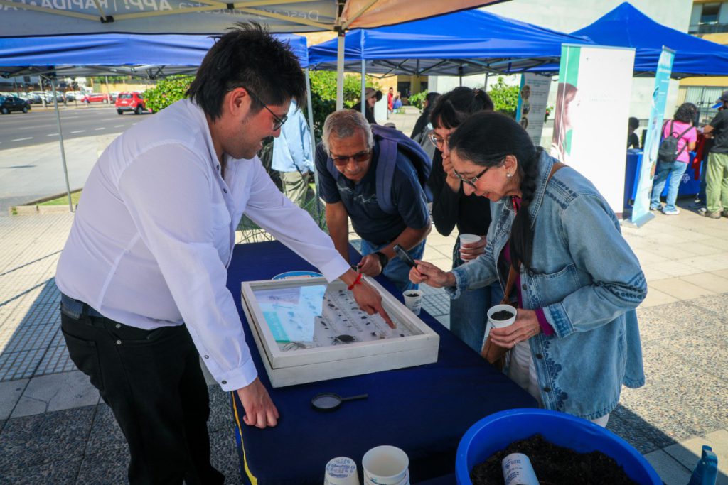 Municipio de Antofagasta anuncia que trabaja en declaración de protección para nuevo humedal