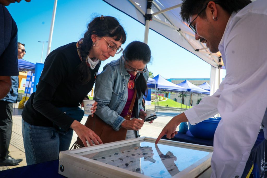 Municipio de Antofagasta anuncia que trabaja en declaración de protección para nuevo humedal