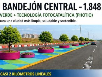 Antofagasta: 184 &aacute;rboles y 368 macetas con plantas ornamentales transformar&aacute;n Av. P&eacute;rez Zujovic