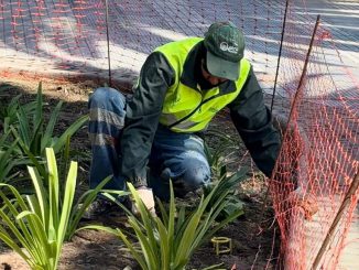 Ambicioso plan para &ldquo;reverdecer&rdquo; Parque Brasil
