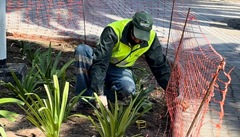 WhatsApp Image 2026-04-01 at 16.03.43 (2)