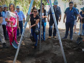 Tras a&ntilde;os de abandono comienza recuperaci&oacute;n del vivero municipal