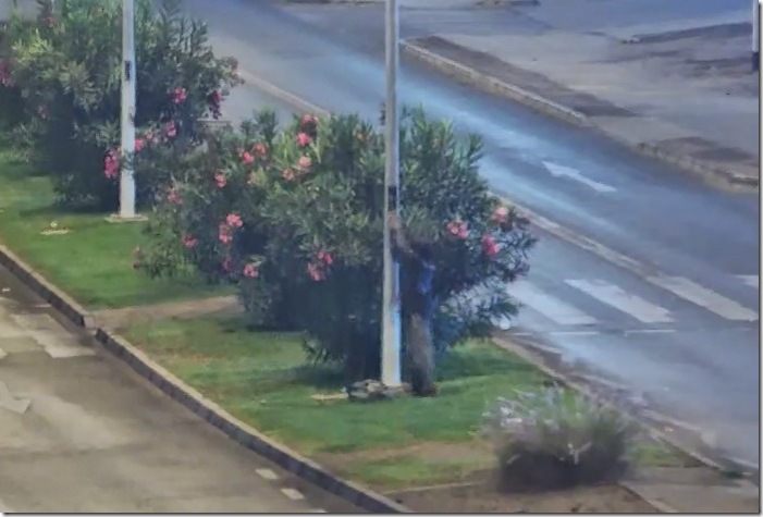 WhatsApp Image 2026-04-22 at 11.35.46