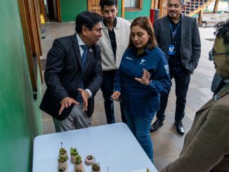 CEMVIVO: Innovaci&oacute;n con sello regional desde Antofagasta busca revolucionar la reutilizaci&oacute;n de residuos mineros