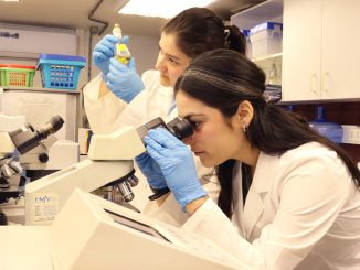 Startup desarrolla biotecnolog&iacute;a para reducir polvo en relaves y recuperar suelos mineros