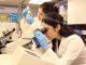 Startup desarrolla biotecnolog&iacute;a para reducir polvo en relaves y recuperar suelos mineros