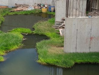 Antofagasta: allanan sitio abandonado en Lord Cochrane por riesgo sanitario y temor a proliferación del mosquito Aedes aegypti