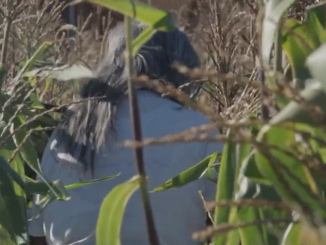 Realizadores nacionales y extranjeros estrenan serie documental que reivindica el pensamiento andino ancestral en la Regi&oacute;n de Antofagasta
