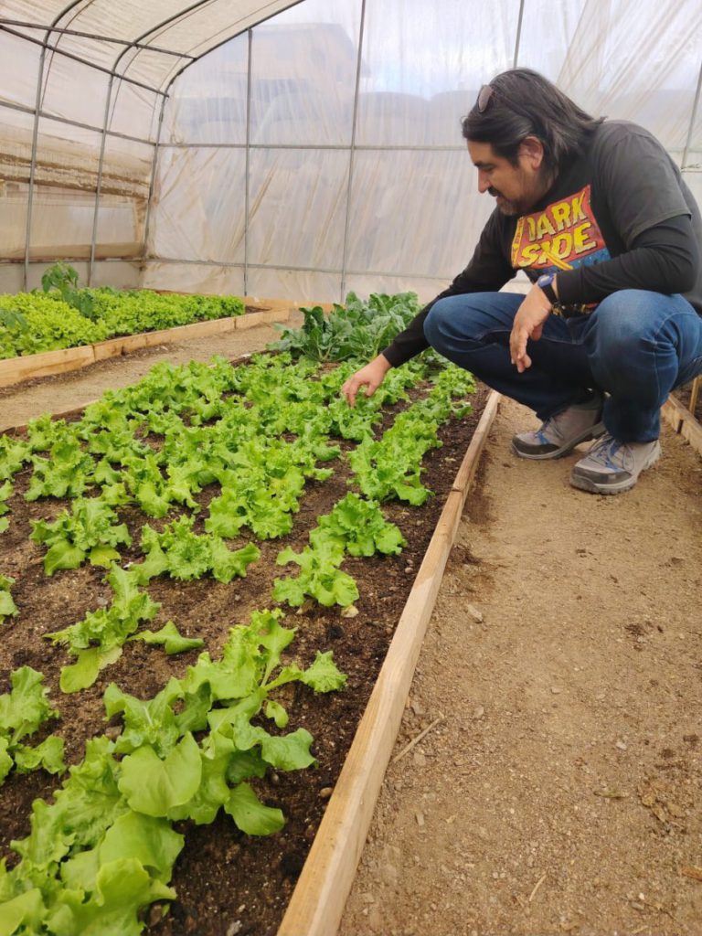 Desde bioinsumos hasta nuevas tecnologías hídricas: las iniciativas que buscan transformar la agricultura del desierto Desde bioinsumos hasta nuevas tecnologías hídricas: las iniciativas que buscan transformar la agricultura del desierto