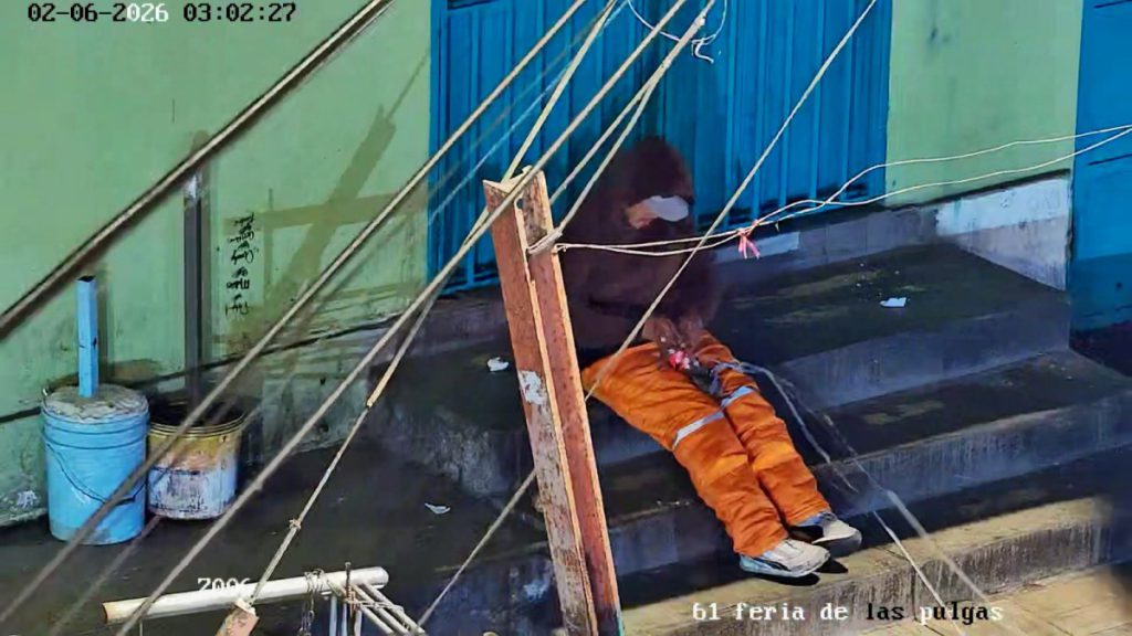 Municipio de Antofagasta y Carabineros detienen a dos extranjeros tras intento de daño a cámaras de vigilancia comunal