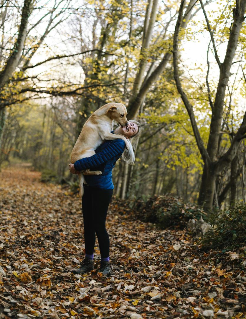DÍA MUNDIAL DEL PERRO: CLAVES ESENCIALES PARA EL CUIDADO Y LA TENENCIA RESPONSABLE Perro abrigado descansando en un hogar acogedor durante el invierno.