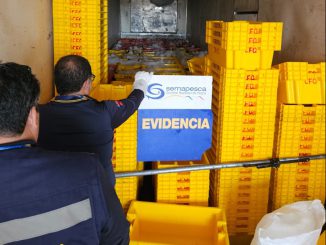 Fiscalizaciones en Tocopilla culminan con cerca de 8 toneladas de recursos incautados
