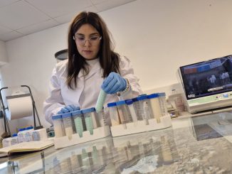Estudiantes y profesionales revisando información sobre las becas doctorado Fulbright-ANID para estudiar en universidades de Estados Unidos