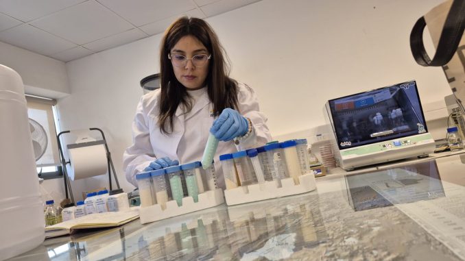 Estudiantes y profesionales revisando información sobre las becas doctorado Fulbright-ANID para estudiar en universidades de Estados Unidos