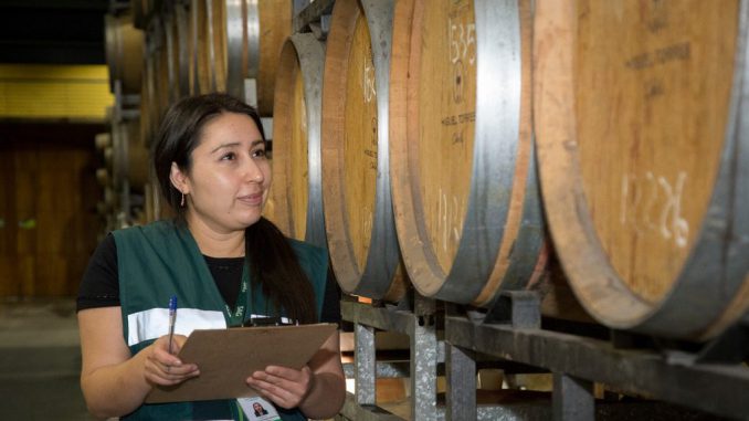 Viñedos y proceso de producción de vino en una planta chilena