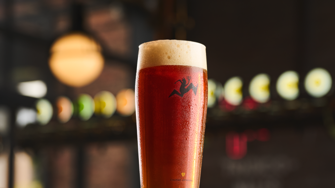 Botellas de cerveza Kross premiadas en los World Beer Awards 2026 junto a elementos de pisco Malpaso.