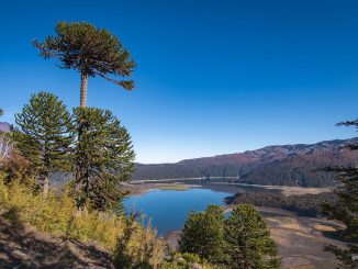 Paisaje natural de un parque nacional en Chile con vegetación nativa y montañas