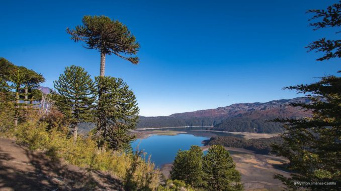 Paisaje natural de un parque nacional en Chile con vegetación nativa y montañas