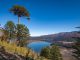 Paisaje natural de un parque nacional en Chile con vegetación nativa y montañas