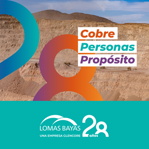 Lomas Bayas LinkedIn