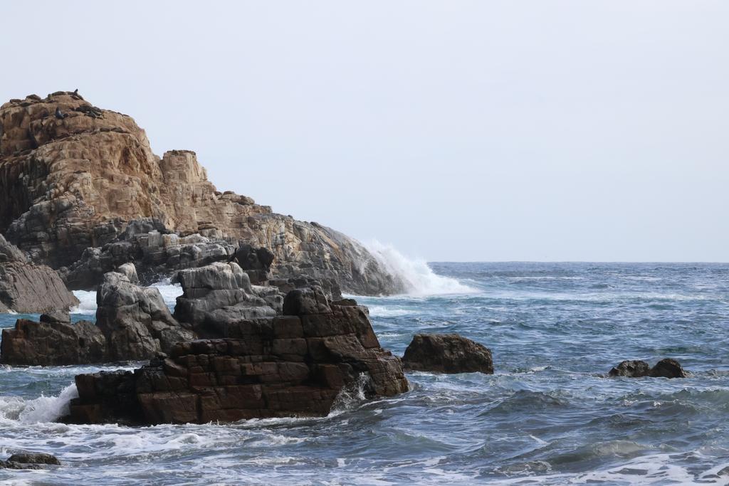 TOCOPILLA EXHIBE SU POTENCIAL DE INVERSIÓN Y DESARROLLO EN EL CIERRE DEL PRE FORO DEL CORREDOR BIOCEÁNICO Delegaciones internacionales visitan proyectos estratégicos en el puerto de Tocopilla durante el Pre Foro del Corredor Bioceánico.