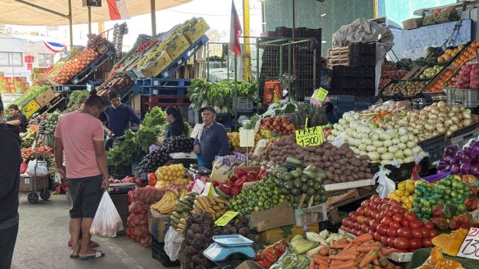 Autoridades presentando el cotizador de precios del SERNAC en la Vega Central de Antofagasta para Fiestas Patrias.
