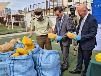 Incautacion de casi 700 kilos de droga en Antofagasta por Carabineros y Fiscalia