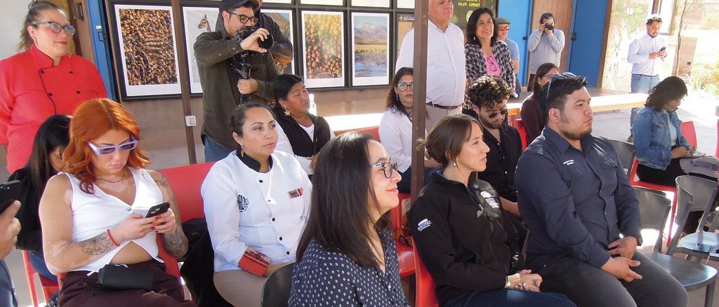 Emprendedores locales presentando sus proyectos de innovación social en la ceremonia de cierre de Viraliza Formación en la Provincia de El Loa.