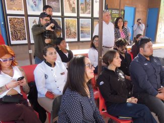 Emprendedores locales presentando sus proyectos de innovación social en la ceremonia de cierre de Viraliza Formación en la Provincia de El Loa.