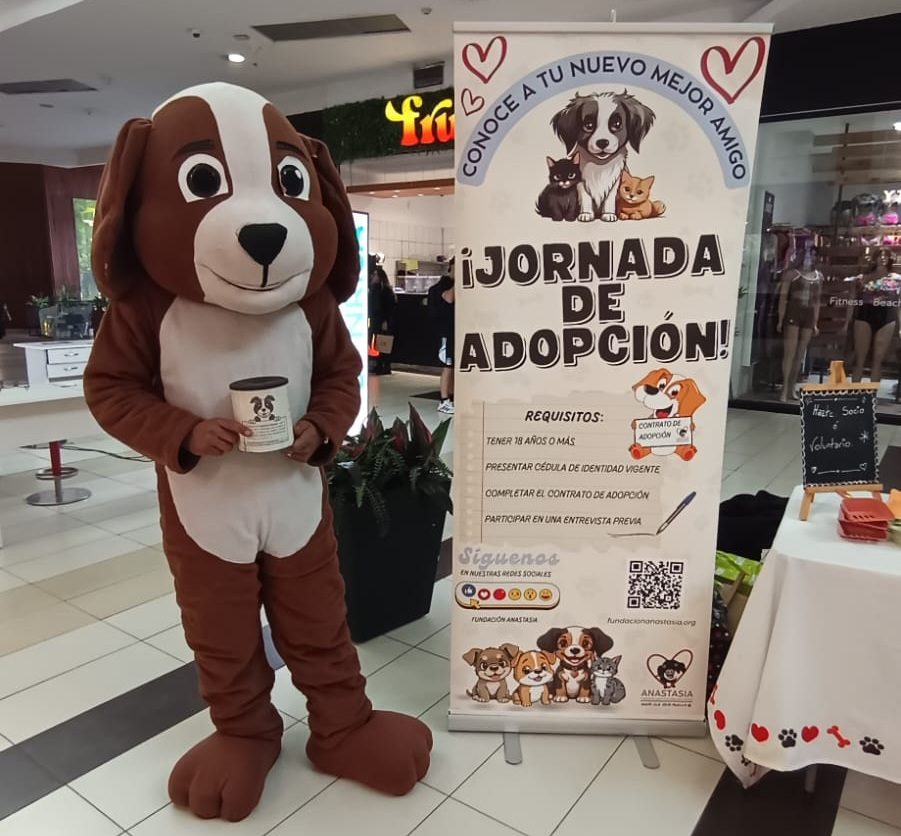 Voluntarios de Fundación Anastasia en punto de recolección de donaciones para mascotas en Mallplaza Calama