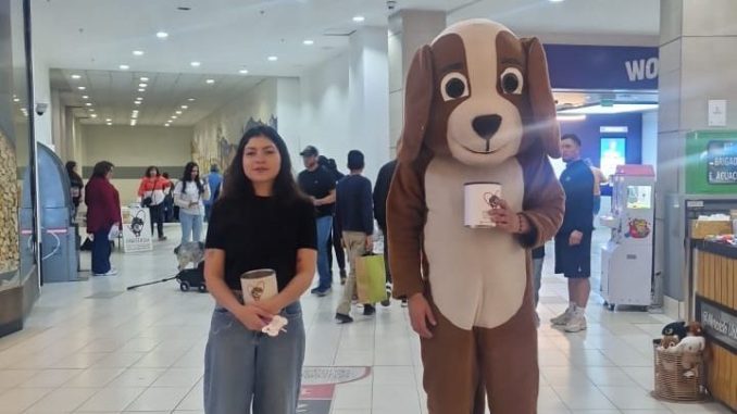Voluntarios de Fundación Anastasia en punto de recolección de donaciones para mascotas en Mallplaza Calama