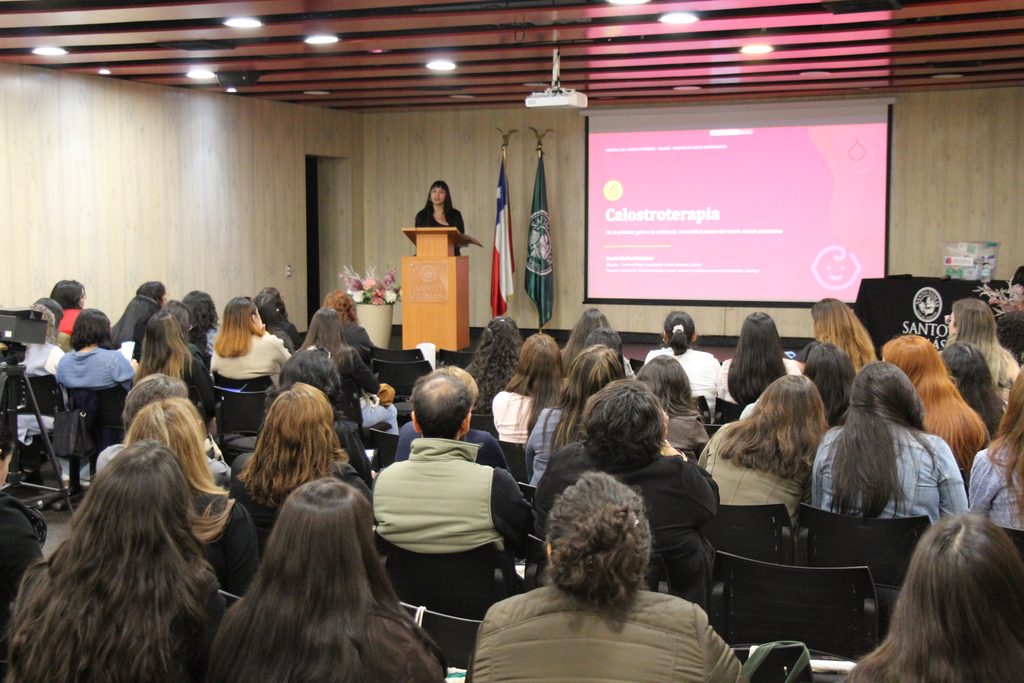 Profesionales de la salud participando en la sesión de la Mesa Regional de Lactancia Materna en Antofagasta