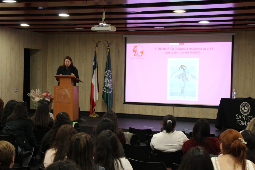 Profesionales de la salud participando en la sesión de la Mesa Regional de Lactancia Materna en Antofagasta