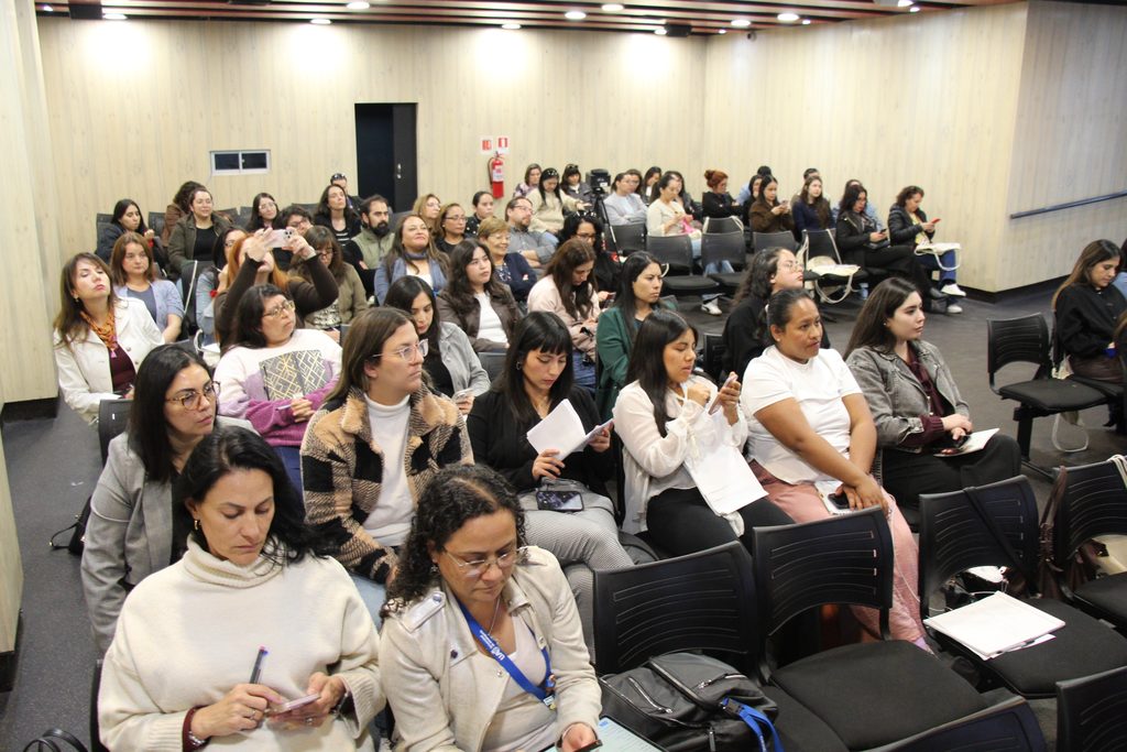 Profesionales de la salud participando en la sesión de la Mesa Regional de Lactancia Materna en Antofagasta