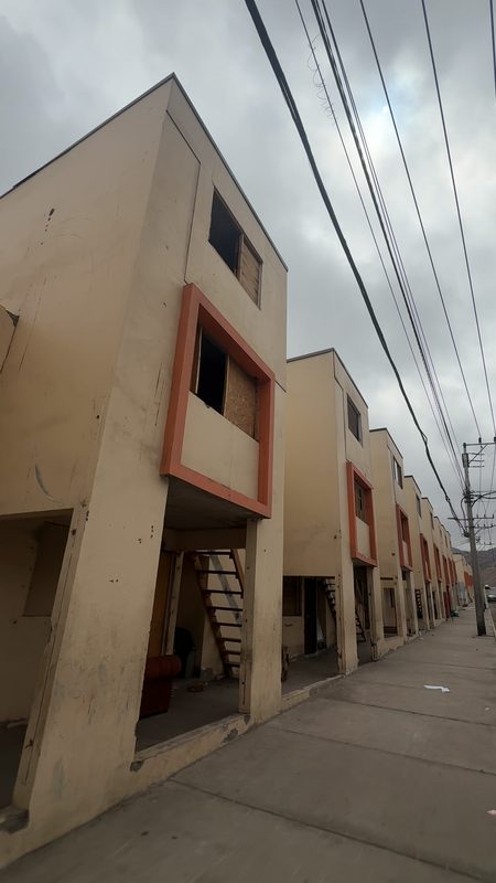 Personal municipal realizando catastro e implantación de microchip a mascotas en Villa El Salar