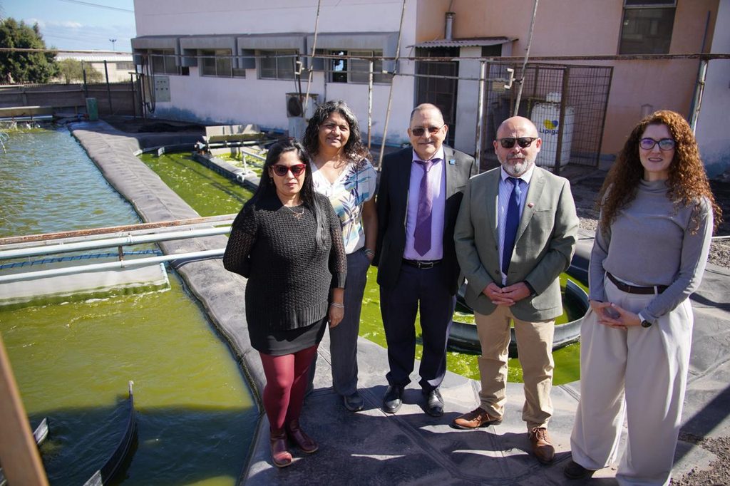 Seremi de Ciencias recorriendo laboratorios de biotecnología en la Universidad de Antofagasta