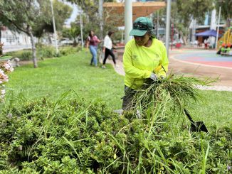 Municipio de Antofagasta inicia transformaci&oacute;n con nueva Direcci&oacute;n de Operaciones y Servicios Urbanos