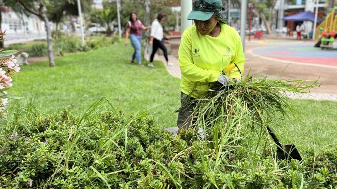 Municipio de Antofagasta inicia transformaci&oacute;n con nueva Direcci&oacute;n de Operaciones y Servicios Urbanos