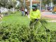 Municipio de Antofagasta inicia transformaci&oacute;n con nueva Direcci&oacute;n de Operaciones y Servicios Urbanos