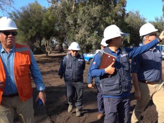 Avanzan obras del vivero municipal y &aacute;rboles muestran importante recuperaci&oacute;n
