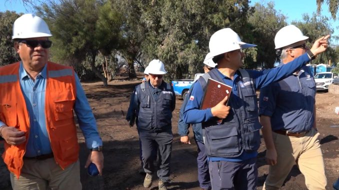 Avanzan obras del vivero municipal y &aacute;rboles muestran importante recuperaci&oacute;n