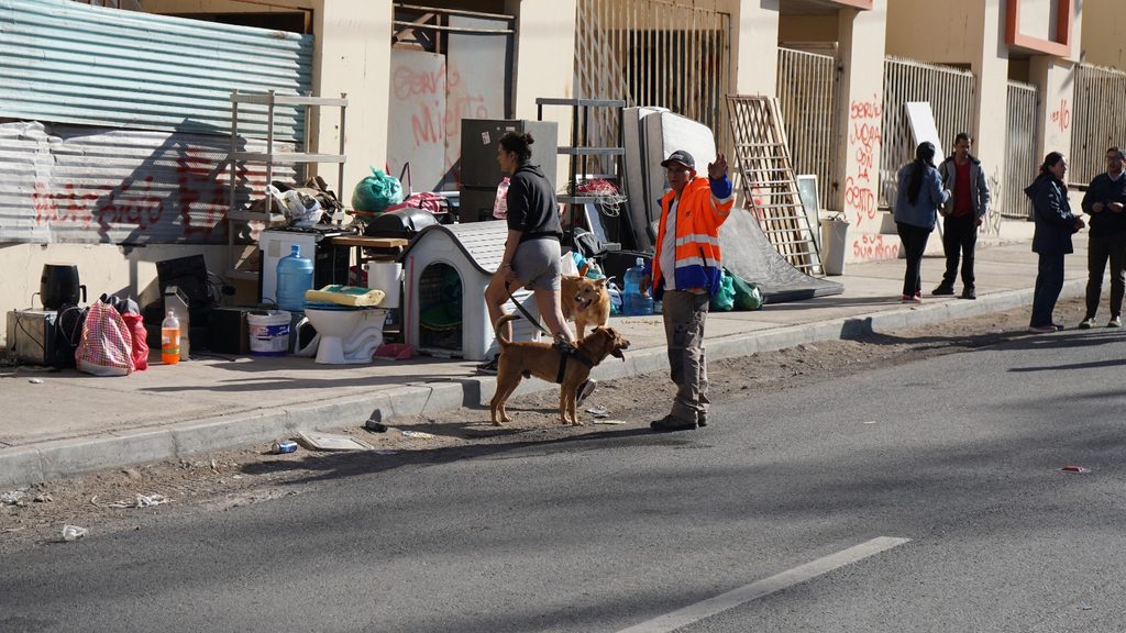 MUNICIPIO DE ANTOFAGASTA ACTIVA OPERATIVO DE RESGUARDO ANIMAL DURANTE EL DESALOJO DE VILLA EL SALAR Operativo de rescate y catastro de mascotas en la toma Villa El Salar por parte del municipio de Antofagasta