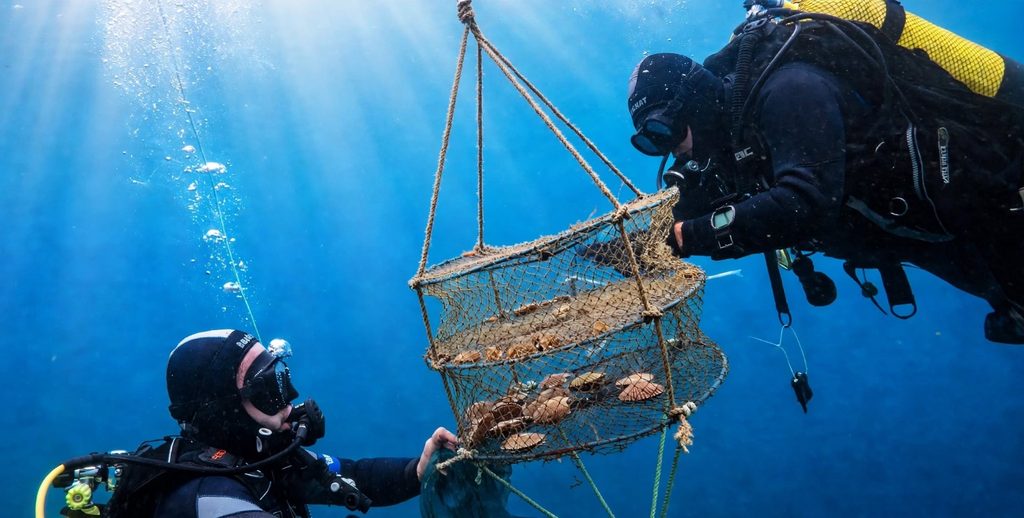 UNIVERSIDAD DE ANTOFAGASTA IMPULSA PROYECTO PARA MONITOREAR LA INDUSTRIA DESALADORA Y PROTEGER EL BORDE COSTERO Investigadores de la Universidad de Antofagasta analizando muestras para monitorear el impacto de plantas desaladoras en el mar.